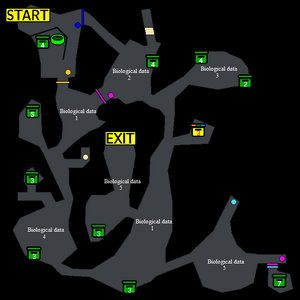 Native Research (Forest 2).png