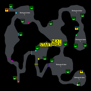 Native Research (Forest 1).png